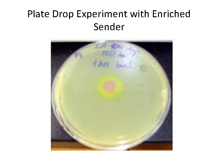 Plate Drop Experiment with Enriched Sender 