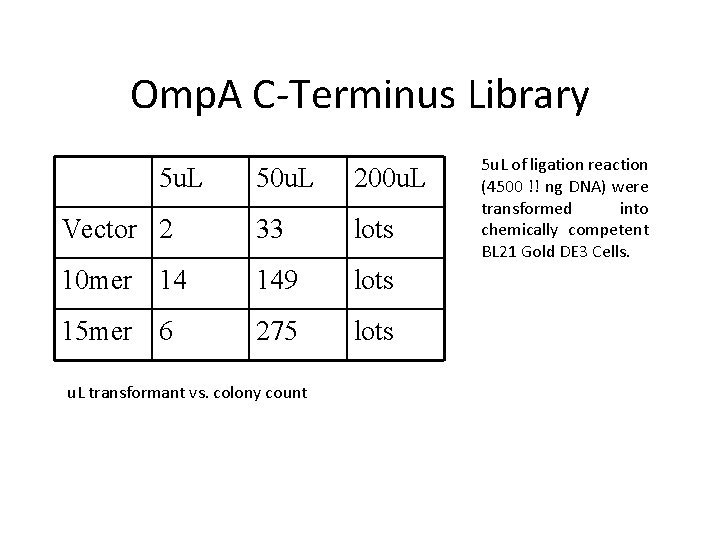 Omp. A C-Terminus Library 5 u. L 50 u. L 200 u. L Vector
