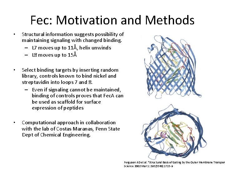 Fec: Motivation and Methods • Structural information suggests possibility of maintaining signaling with changed
