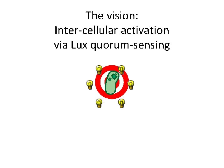 The vision: Inter-cellular activation via Lux quorum-sensing 