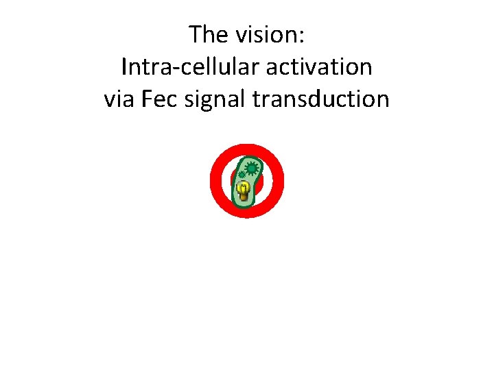 The vision: Intra-cellular activation via Fec signal transduction 
