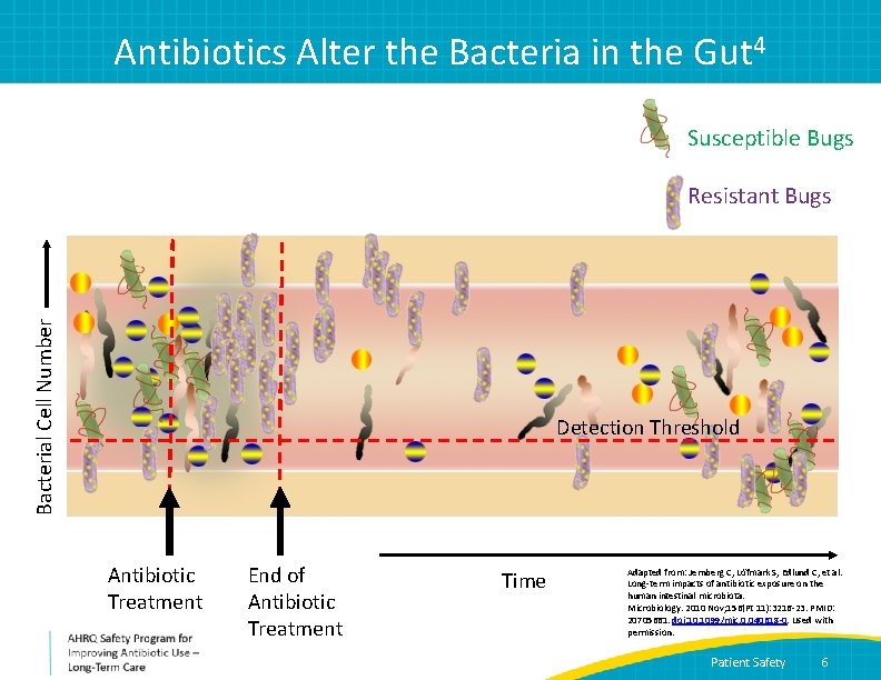 Antibiotics Alter the Bacteria in the Gut 4 Susceptible Bugs Bacterial Cell Number Resistant