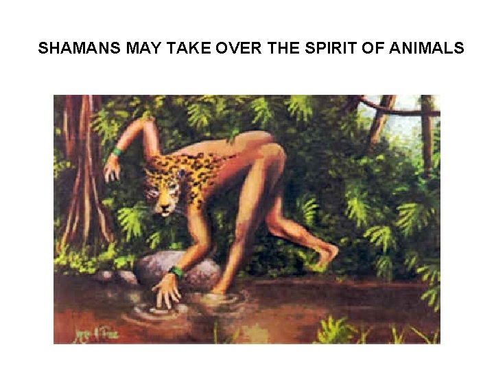 SHAMANS MAY TAKE OVER THE SPIRIT OF ANIMALS 