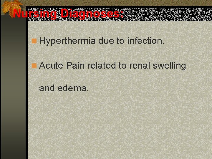 Nursing Diagnoses: n Hyperthermia due to infection. n Acute Pain related to renal swelling