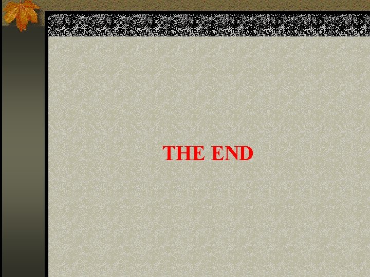 THE END 