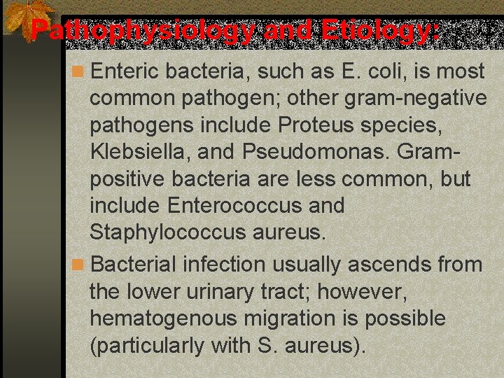 Pathophysiology and Etiology: n Enteric bacteria, such as E. coli, is most common pathogen;
