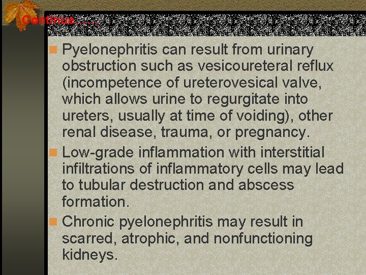 Continue…… n Pyelonephritis can result from urinary obstruction such as vesicoureteral reflux (incompetence of