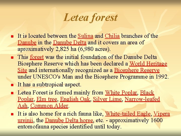 Letea forest n n n It is located between the Sulina and Chilia branches