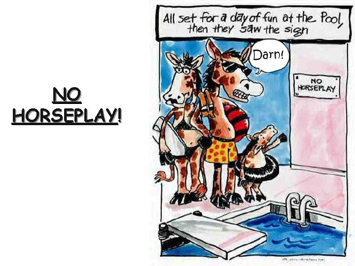 NO HORSEPLAY! 