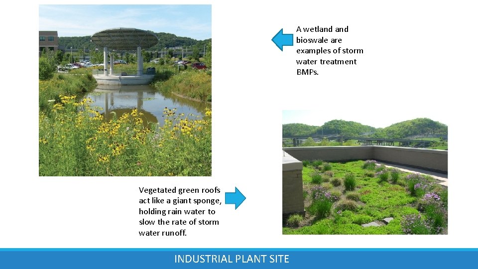 A wetland bioswale are examples of storm water treatment BMPs. Vegetated green roofs act