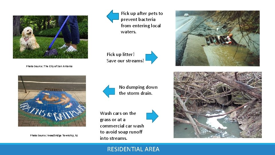 Pick up after pets to prevent bacteria from entering local waters. Pick up litter!
