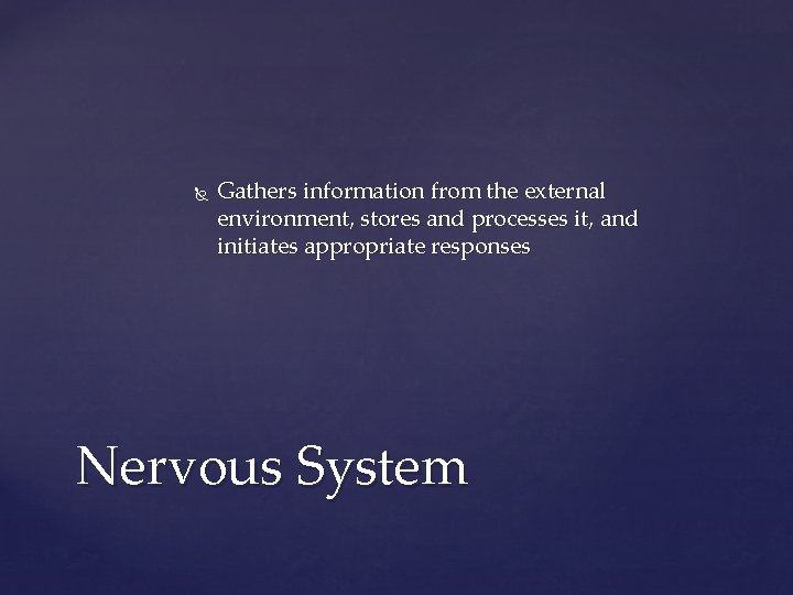  Gathers information from the external environment, stores and processes it, and initiates appropriate
