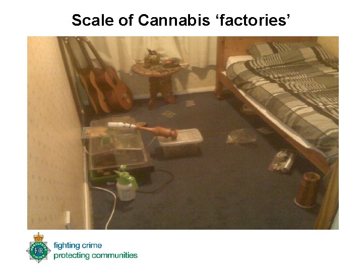 Scale of Cannabis ‘factories’ 