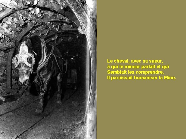 Le cheval, avec sa sueur, à qui le mineur parlait et qui Semblait les