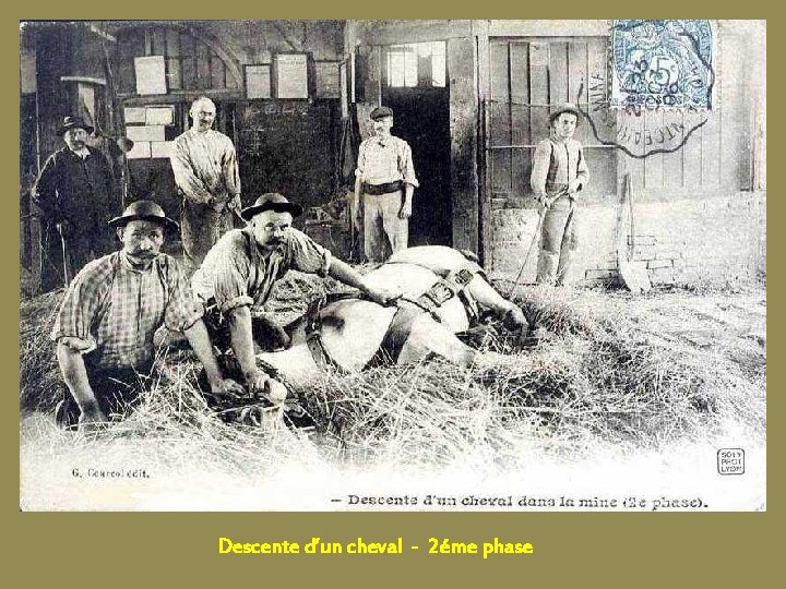 Descente d’un cheval - 2éme phase 