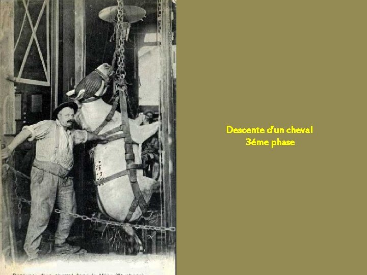 Descente d’un cheval 3éme phase 