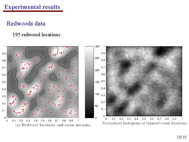 Experimental results Redwoods data 195 redwood locations 18/19 