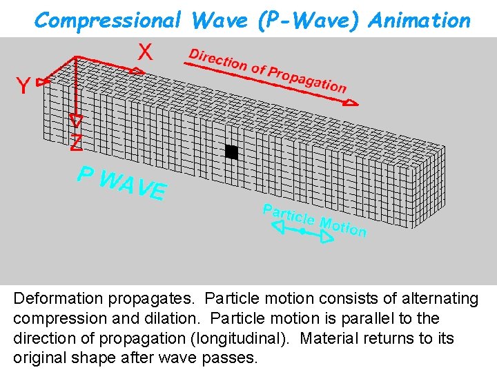 Compressional Wave (P-Wave) Animation Deformation propagates. Particle motion consists of alternating compression and dilation.