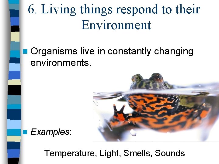 6. Living things respond to their Environment n Organisms live in constantly changing environments.