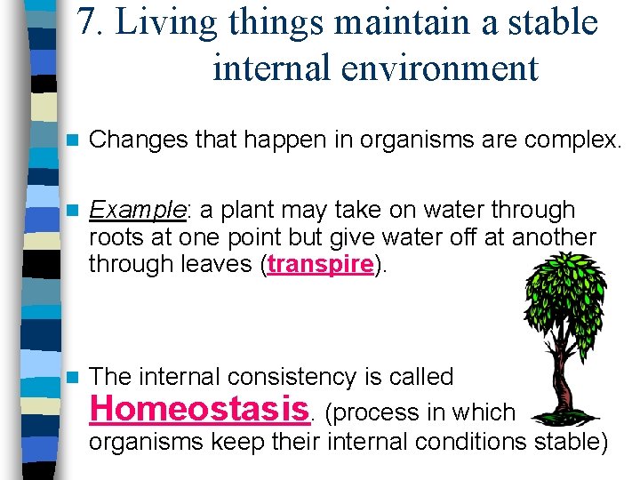7. Living things maintain a stable internal environment n Changes that happen in organisms