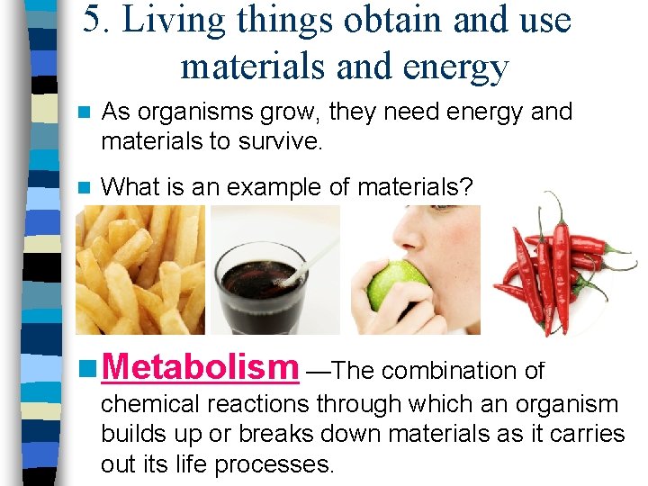 5. Living things obtain and use materials and energy n As organisms grow, they
