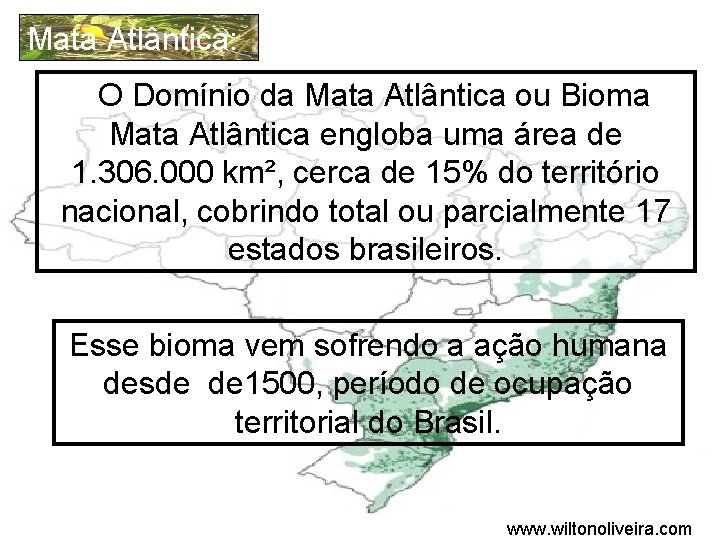 Mata Atlântica: O Domínio da Mata Atlântica ou Bioma Mata Atlântica engloba uma área