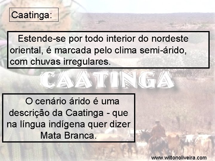 Caatinga: Estende-se por todo interior do nordeste oriental, é marcada pelo clima semi-árido, com