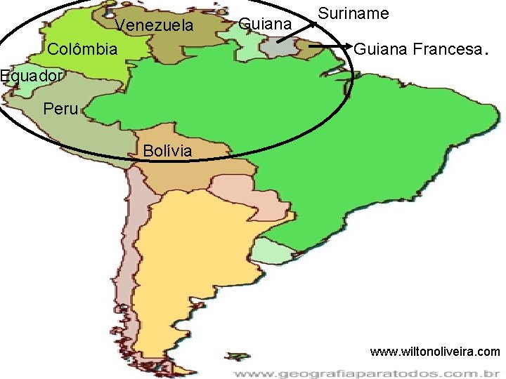 Venezuela Colômbia Guiana Suriname Guiana Francesa. Equador Peru Bolívia www. wiltonoliveira. com 