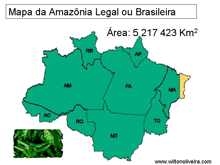 Mapa da Amazônia Legal ou Brasileira Área: 5 217 423 Km 2 www. wiltonoliveira.