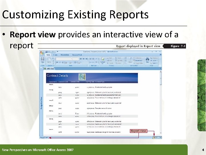 Customizing Existing Reports XP • Report view provides an interactive view of a report