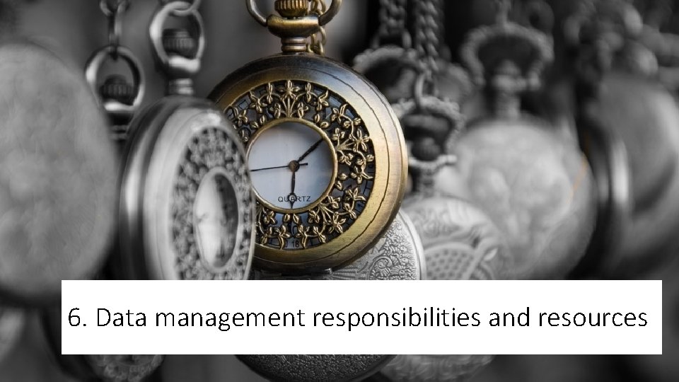 6. Data management responsibilities and resources 