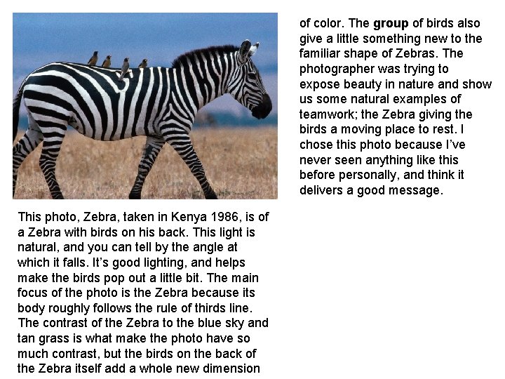 of color. The group of birds also give a little something new to the of color. The group of birds also give a little something new to the