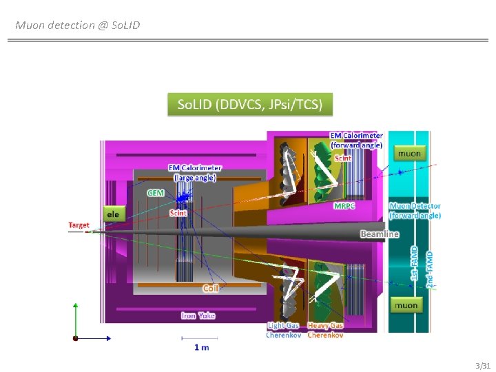 Muon detection @ So. LID 3/31 