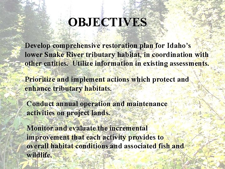 OBJECTIVES Develop comprehensive restoration plan for Idaho’s lower Snake River tributary habitat, in coordination
