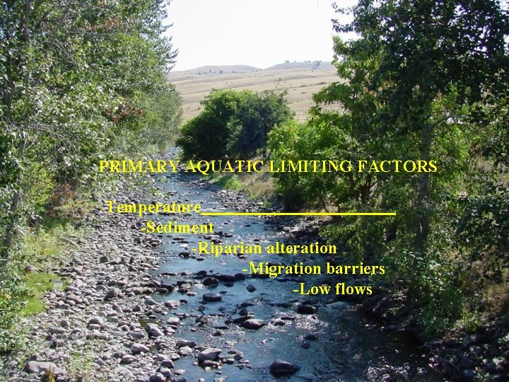 PRIMARY AQUATIC LIMITING FACTORS -Temperature -Sediment -Riparian alteration -Migration barriers -Low flows 