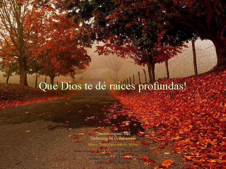 Que Dios te dé raices profundas! Creación original: Mel Traducción: M. C. Valenzuela Música: