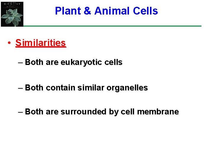 Plant & Animal Cells • Similarities – Both are eukaryotic cells – Both contain