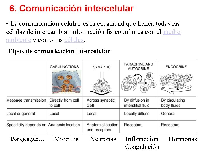6. Comunicación intercelular • La comunicación celular es la capacidad que tienen todas las