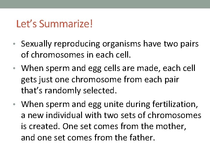 Let’s Summarize! • Sexually reproducing organisms have two pairs of chromosomes in each cell.