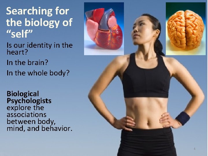 Searching for the biology of “self” Is our identity in the heart? In the