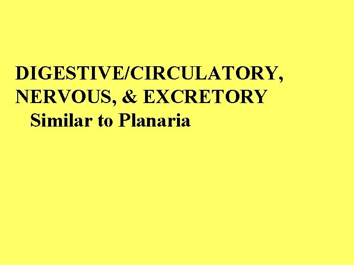 DIGESTIVE/CIRCULATORY, NERVOUS, & EXCRETORY Similar to Planaria 