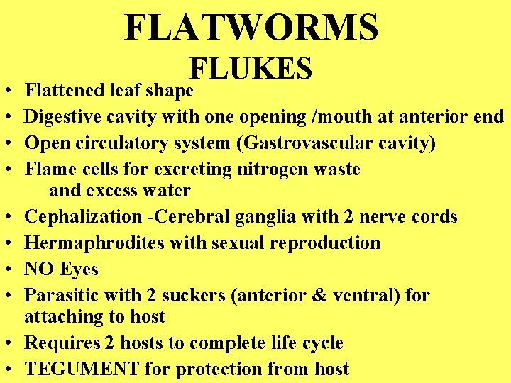 FLATWORMS • • • FLUKES Flattened leaf shape Digestive cavity with one opening /mouth