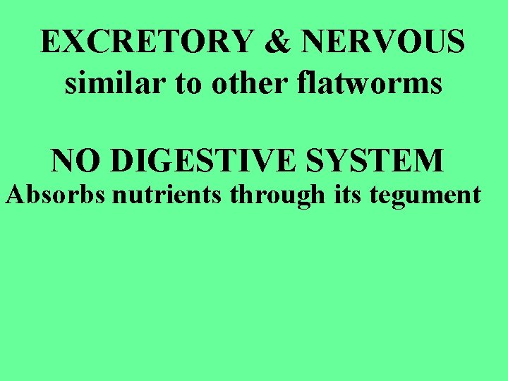 EXCRETORY & NERVOUS similar to other flatworms NO DIGESTIVE SYSTEM Absorbs nutrients through its
