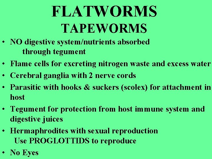 FLATWORMS TAPEWORMS • NO digestive system/nutrients absorbed through tegument • Flame cells for excreting