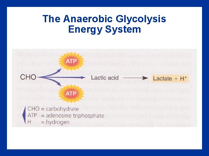 The Anaerobic Glycolysis Energy System 