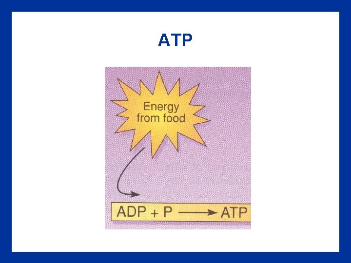 ATP 