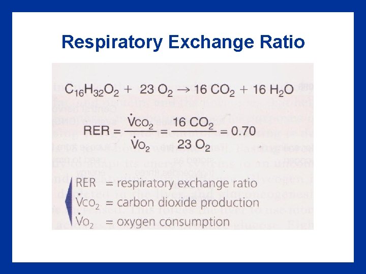 Respiratory Exchange Ratio 