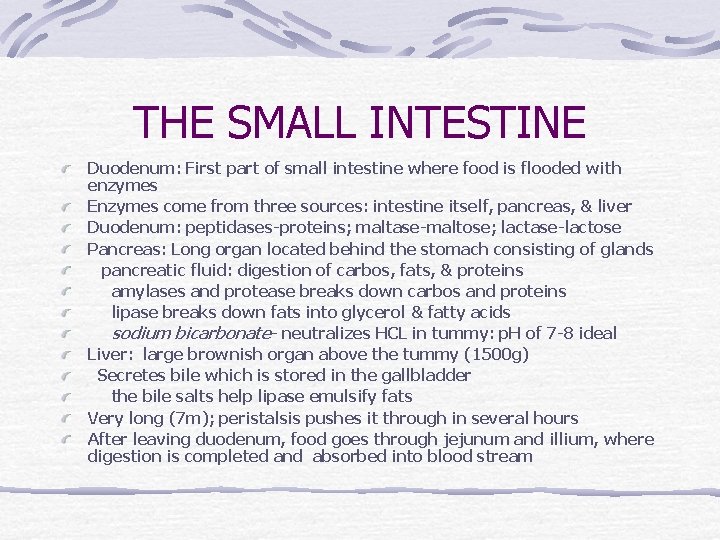 THE SMALL INTESTINE Duodenum: First part of small intestine where food is flooded with