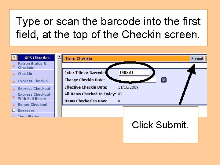 Type or scan the barcode into the first field, at the top of the