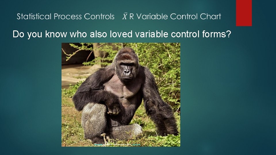 Do you know who also loved variable control forms? This Photo by Unknown Author